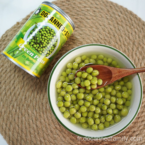 boîte de conserve végétarienne nourriture en conserve haricots verts